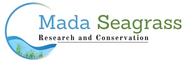 Mada Seagrass